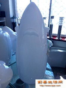 點(diǎn)亮生活，從專業(yè)路燈批發(fā)到安心食品零售——一站式采購新體驗(yàn)